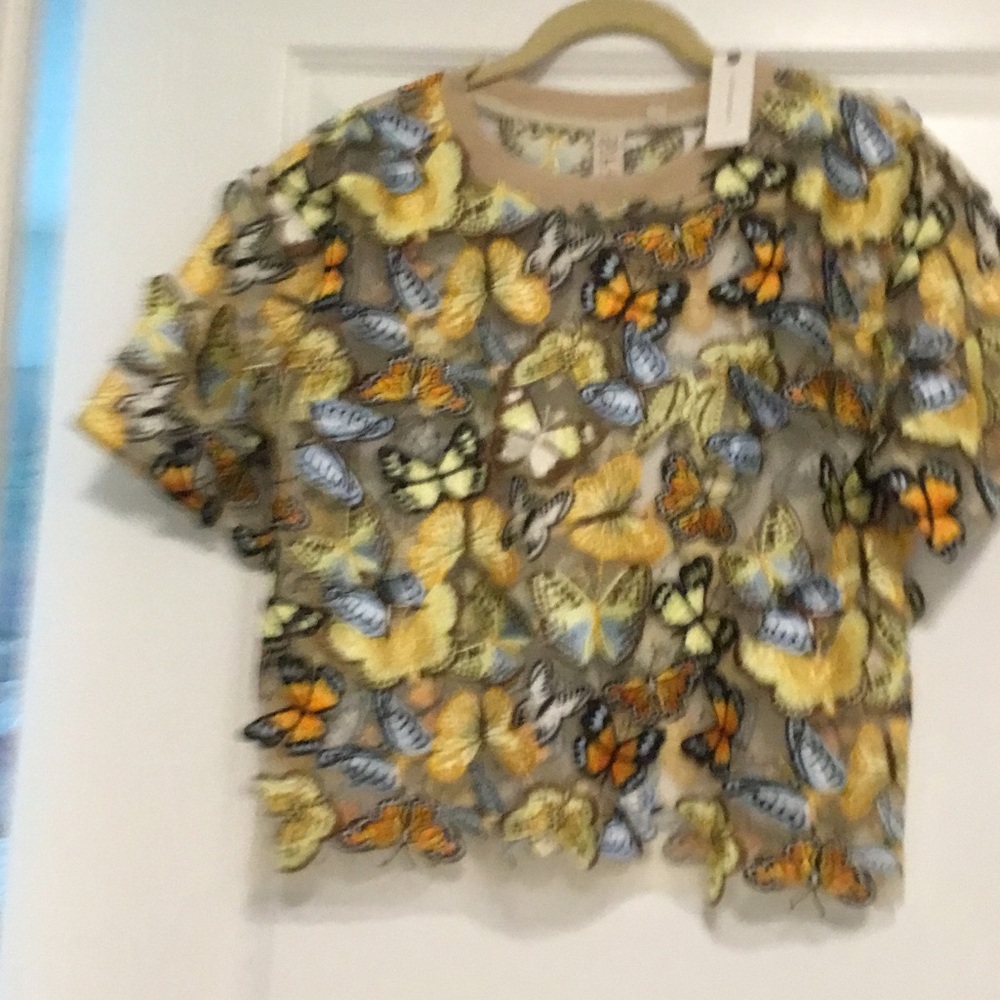 Beautiful Dolan Anthropologie Butterfly top